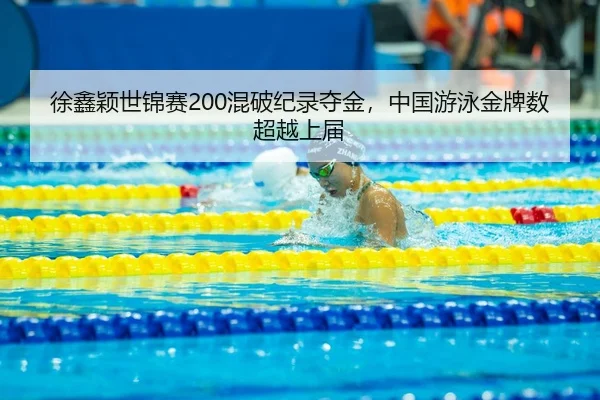xu-xin-ying-shi-jin-sai-hun-po-ji-lu-duo-jin-zhong-guo-you-yong-jin-pai-shu-chao-yue-shang-jie-2-599.jpg